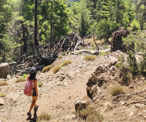 Down in Samaria Gorge