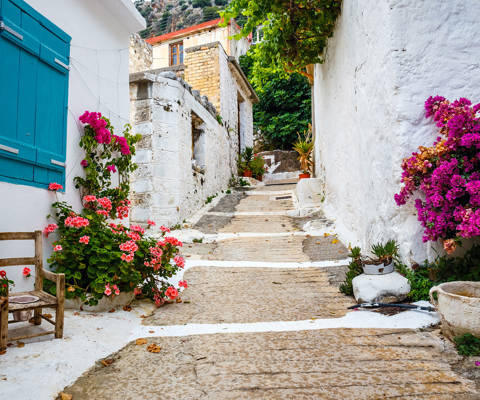 Kritsa Village traditional alley with stone road and buildings