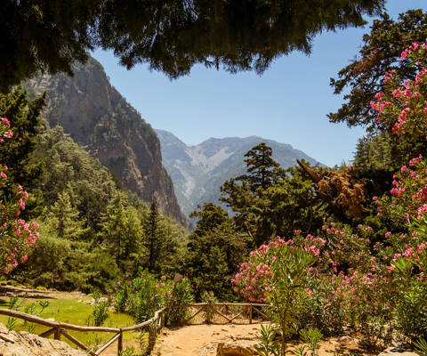Samaria Gorge