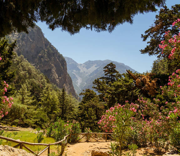 Samaria Gorge
